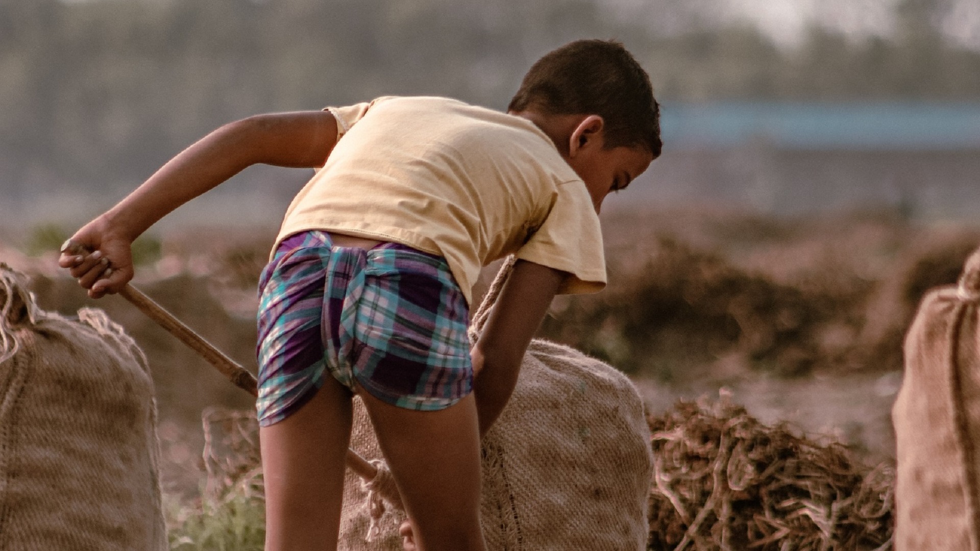 The International Day against Child Labor: a universal commitment
