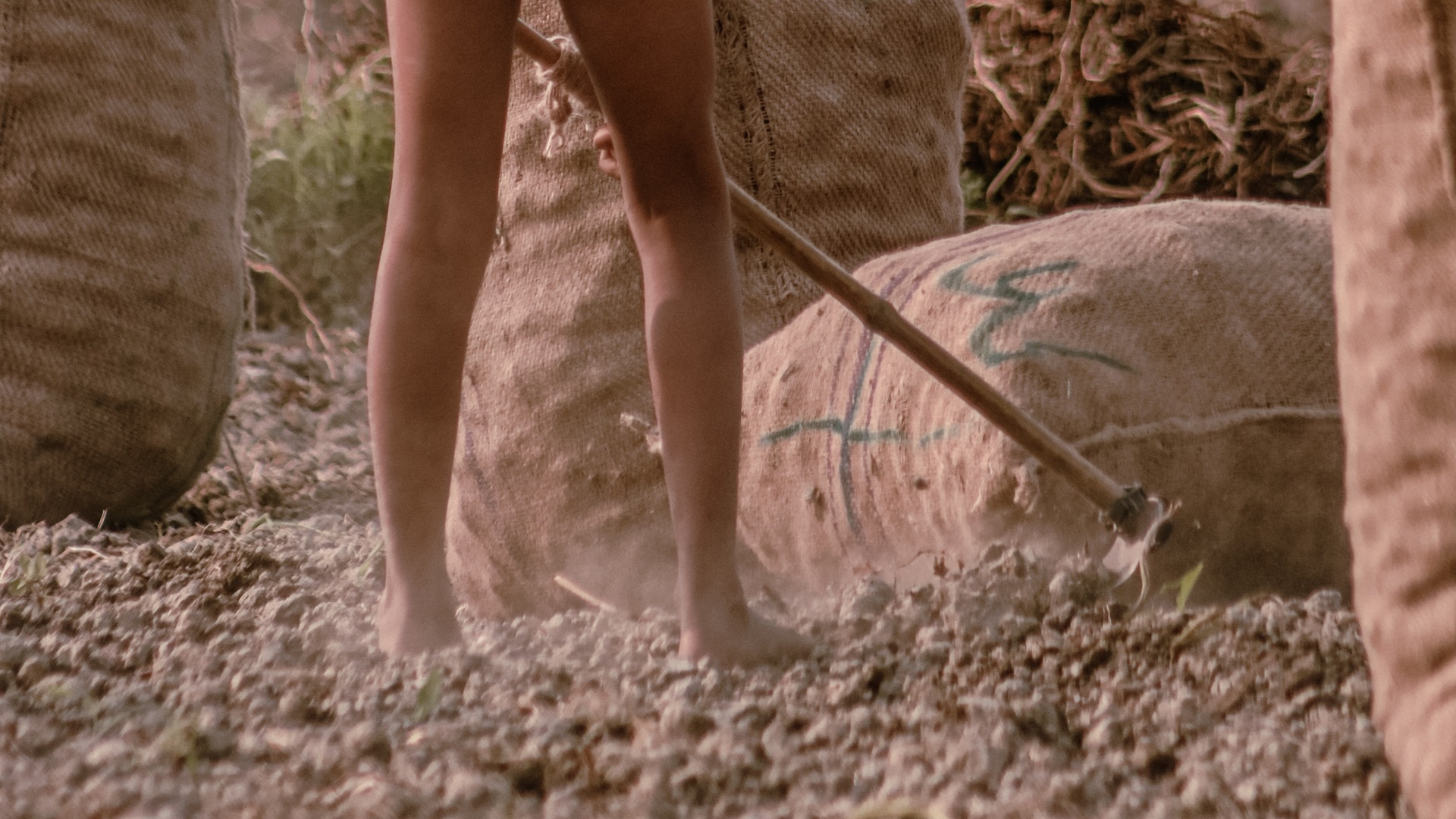 Child labor in agriculture: urgency for global action